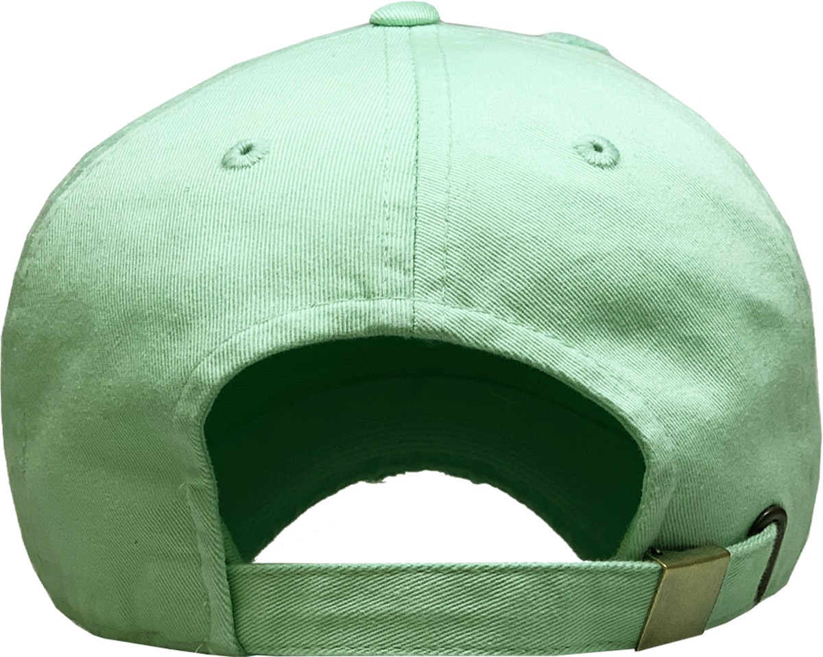 Pistachio Distressed Vintage Baseball Cap Back View